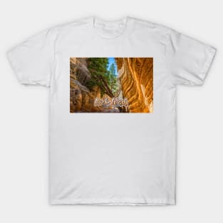 Lick Wash Trail Hike T-Shirt